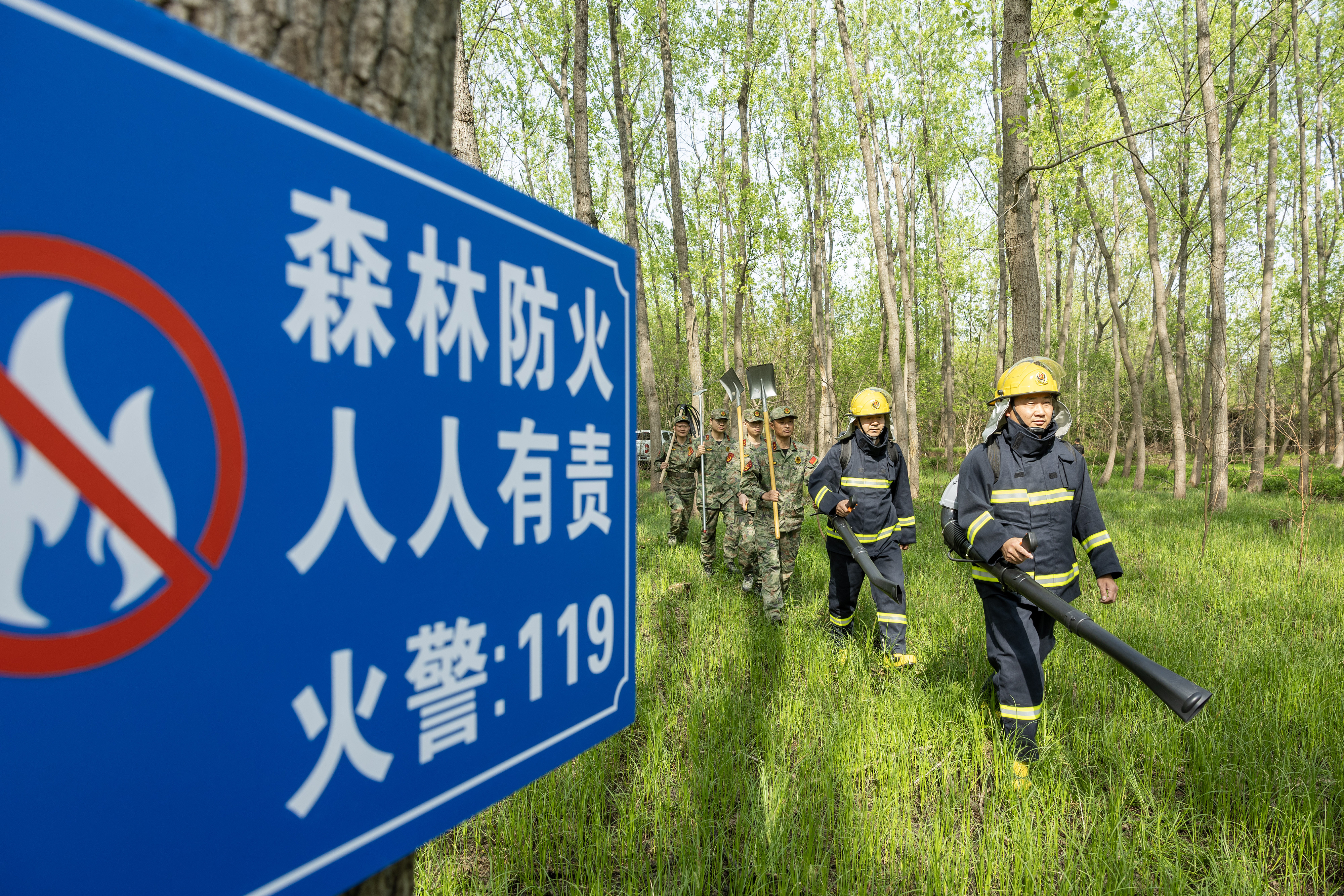 2024年4月9日，合肥市大房郢水庫(kù)水源保護(hù)地廬陽(yáng)經(jīng)濟(jì)開(kāi)發(fā)區(qū)段，基干民兵正在林間巡查火災(zāi)隱患。