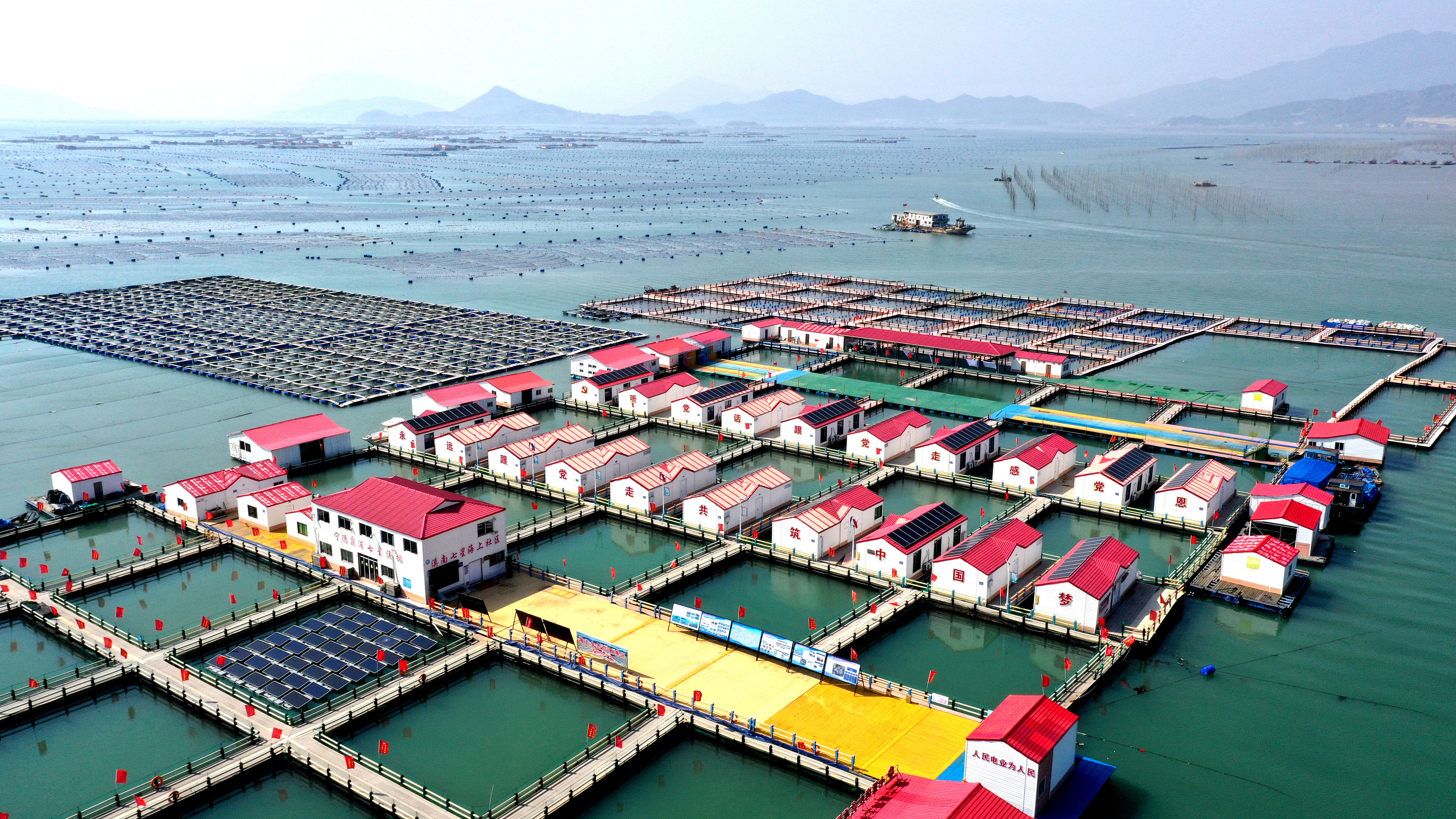 2024年3月20日，福建省寧德市，霞浦縣溪南鎮(zhèn)七星村漁排養(yǎng)殖示范區(qū)，漁民駕駛養(yǎng)殖船進(jìn)行海參養(yǎng)殖作業(yè)。