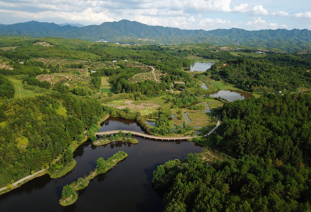 福建省龍巖市長(zhǎng)汀縣的長(zhǎng)汀汀江國(guó)家濕地公園景色（2020年7月28日攝，無(wú)人機(jī)照片）。新華社記者 魏培全 攝