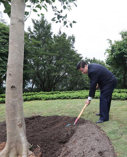 2012年12月7日至11日，習(xí)近平在廣東省考察工作。這是8日上午，習(xí)近平在深圳蓮花山公園種下一棵高山榕樹(shù)。新華社記者 蘭紅光 攝