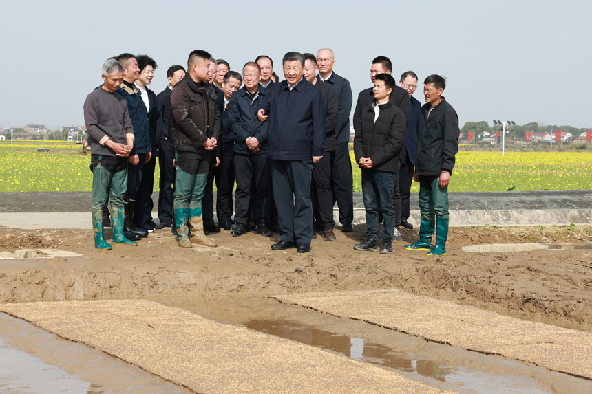 2024年3月18日至21日，中共中央總書記、國家主席、中央軍委主席習近平在湖南考察。這是19日下午，習近平在常德市鼎城區(qū)謝家鋪鎮(zhèn)港中坪村走進田間，察看秧苗培育和春耕備耕進展。新華社記者 王曄 攝